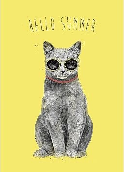 ArtDirect Hello Summer Unframed Art Print Giclee Poster by Solti, Balazs - Ready for Framing with Customization Sizes 7x10, 10x14, 14x20, 24x34, 34x48, and 43x60 Inches