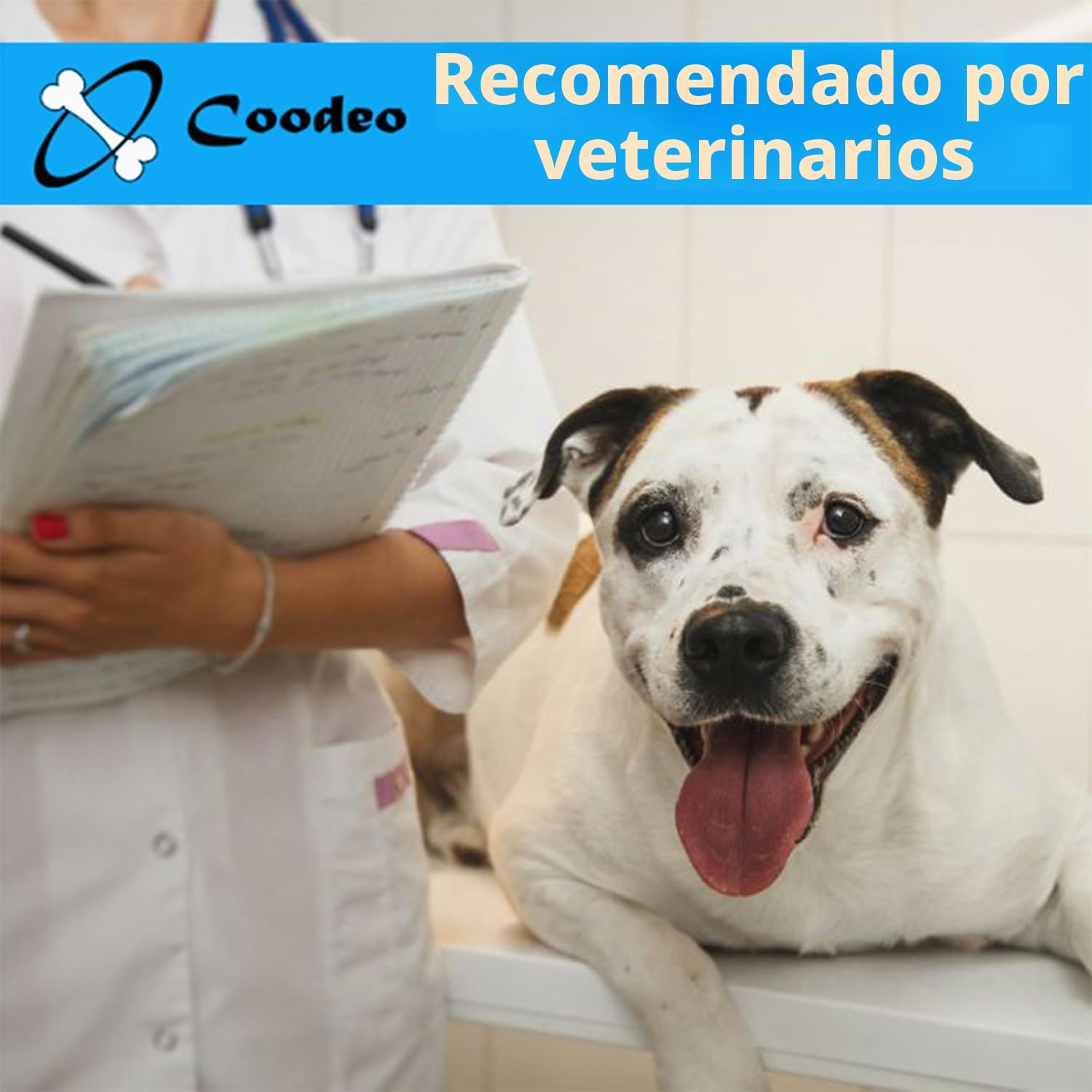 COODEO Soporte de Espalda para Perros para Artritis de Perros, Soporte de Espalda para Mascotas para Ivdd, Protector de Espalda Ayuda A Aliviar El Dolor, Recuperación Quirúrgica (Pequeño)