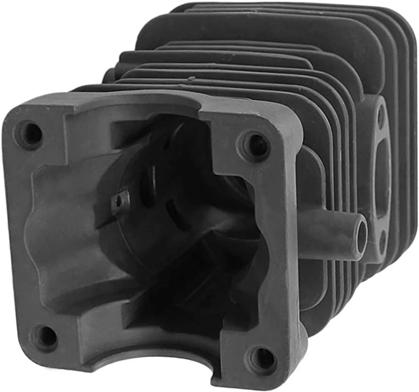 速達！P. willinckii 'Jenny' TC 1636 速達！P. willinckii 'Jenny' TC