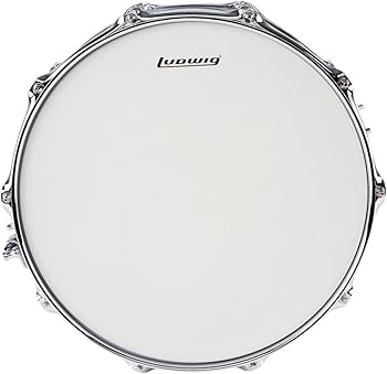 Amazon.com: Ludwig Snare Drum (LW6514SL) : Musical Instruments