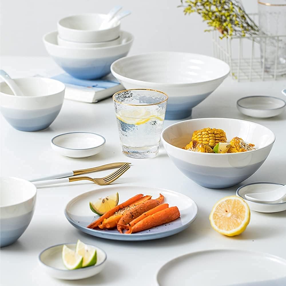 Amazon.co.jp: セラミック食器セット22点、エレガントな炻器ディナー