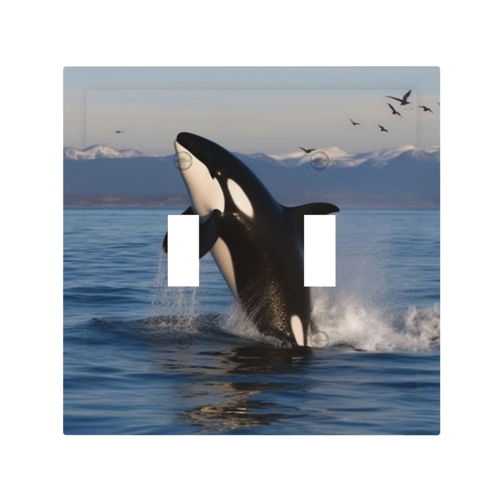 Decorator Double Toggle Light Switch Covers Killer Whale Wall Plate 2-Gang Mid Size 5" x 4.9" Double Toggle Switch Wallplate Decorative 2 Gang Wall Switch Plate Covers