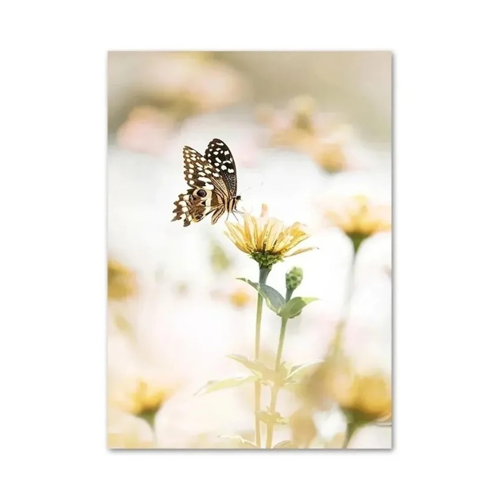 Xenite A Wall Rt Canvas Prints Canvas Painting Yellow Dahli Sunflower Orchid Butterfly Beige Wall Rt Nordic Posters Nd Prints Pictures For Living Room Decor(,50X70cm)