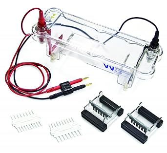 Bonus Kit Walter EL-200P Electrophoresis Apparatus, 16 Samples per Gel, Two 7x7cm Casting Trays