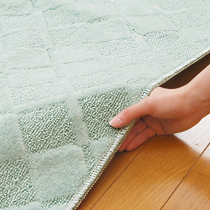 防ダニ　抗菌　防カビ　防虫カーペット10畳　グリーン Amazon | アース防ダニ カーペット10畳 防ダニ 抗菌 防カビ 防虫