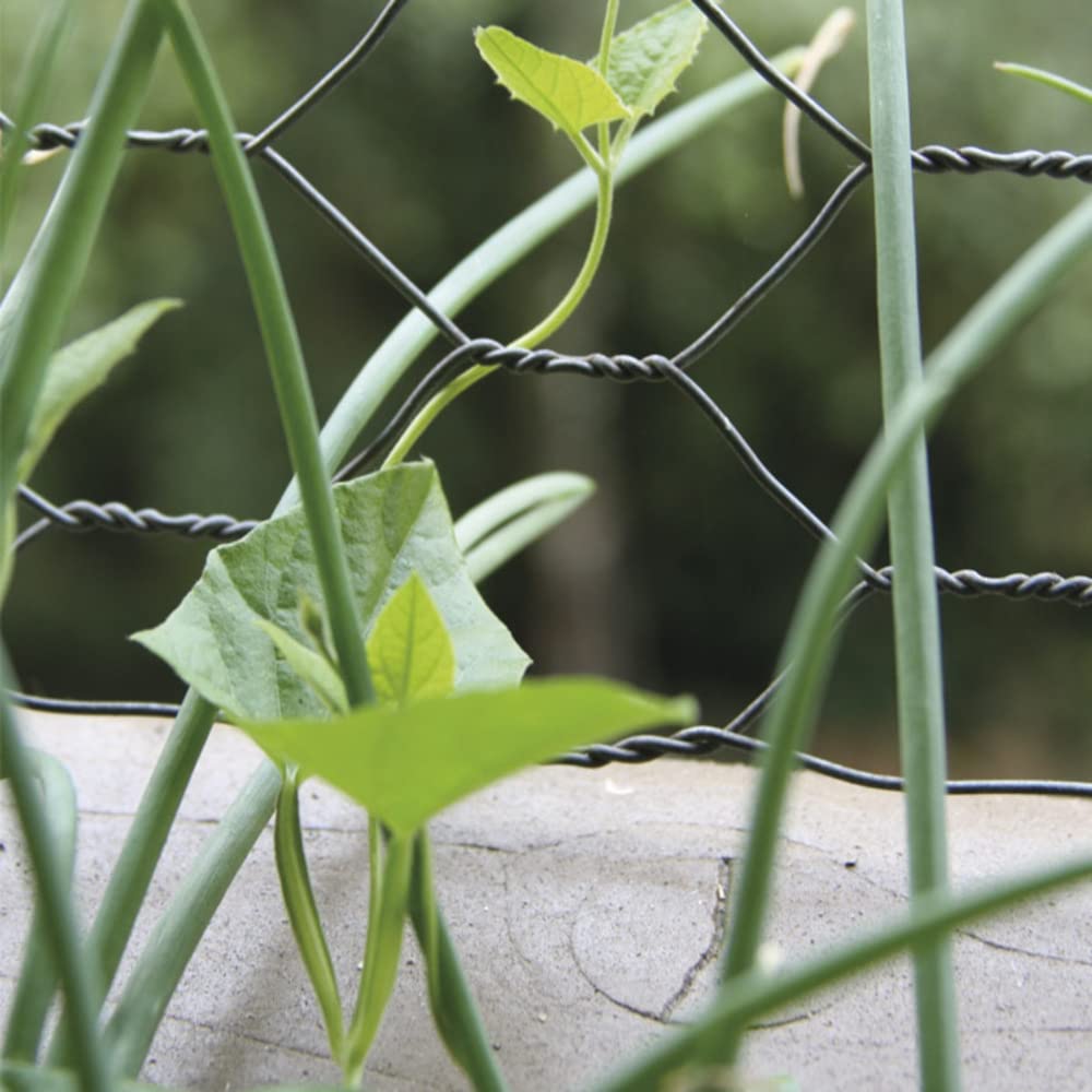 Rete Metallica Zincata VERDELOOK | Maglia Esagonale 16 Mm | 1x10 M | Filo Ø 0,7 Mm | Per Recinzioni - Foto 7