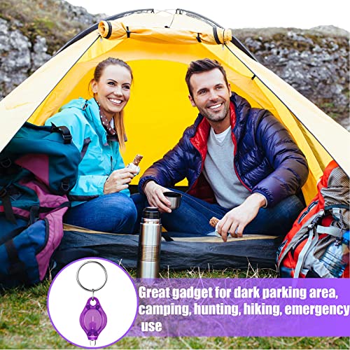 20 Pack Mini Uv Led Keychain Flashlight, 395Nm Uv Light, Black, Key Ring Light Torch () #TOP5