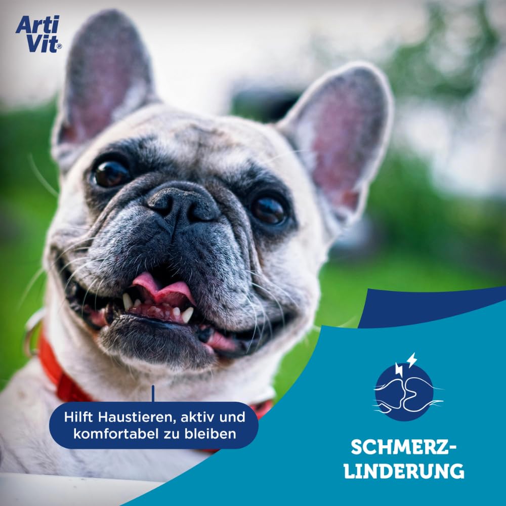 Artivit Forte Gelenk Pulver für Hunde & Katze - mit Glucosamin Chondroitin Hochdosiert und Vitamin C, Wirkstoffkomplex MSM & Hyaluron, gelenk- und knochenschutz, kollagen hund, gelenkschmerzen - 600 g