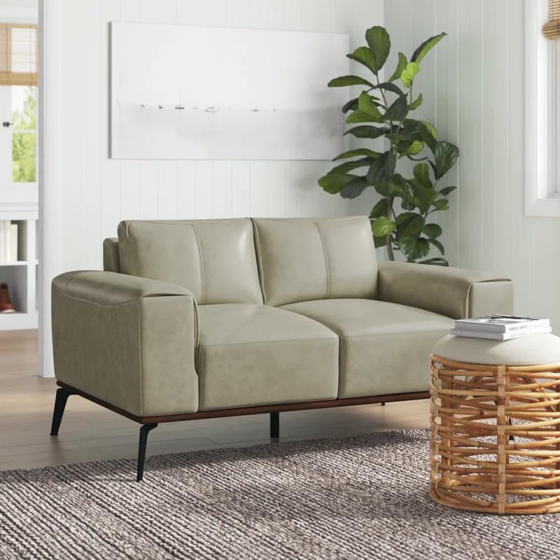 Image of LEGACY OF COMFORT Conley 58'' Leather Loveseat 2 Seater Sofa Two Seater Lounger for Living Room Offices Hotels (Ash Green, Two Seater)