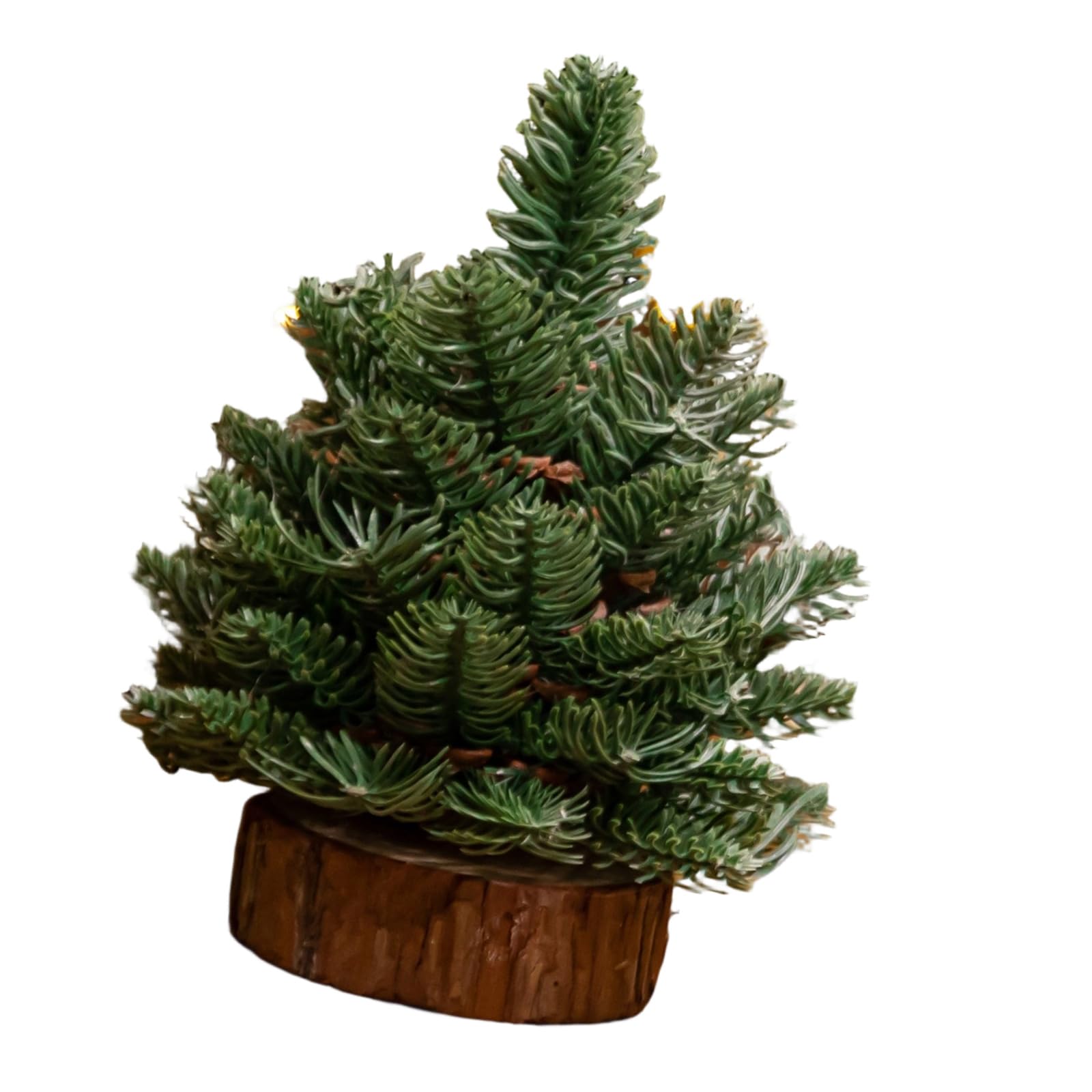 Carotoe F Miniature Aux Christmas Tree Decoration Nordic Inspired Tabletop Holiday Tree Or Desks Shelves And Holiday Tables Scandinavian Styles Centerpieces