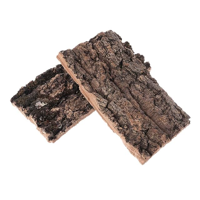 Foto 5 de 7 de Corteza de corcho plana, terrarios de agua para tanques, decoraciones para orquídeas, plantas aéreas, reptiles
