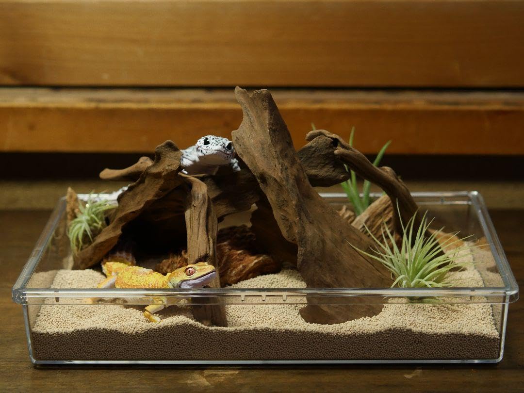 Amazon.co.jp: レオパ 飼育 ケージ レオパードゲッコー フトアゴヒゲ