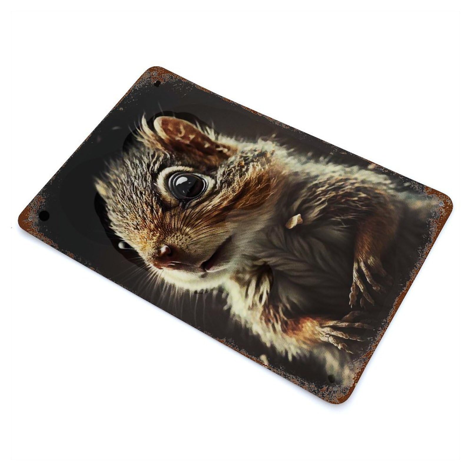 Cute Squirrel Portrait 11.8"x7.9" Aged Metal Wall Plaque, Novelty Wall Decor for Garage, Bar And Workshop Decor