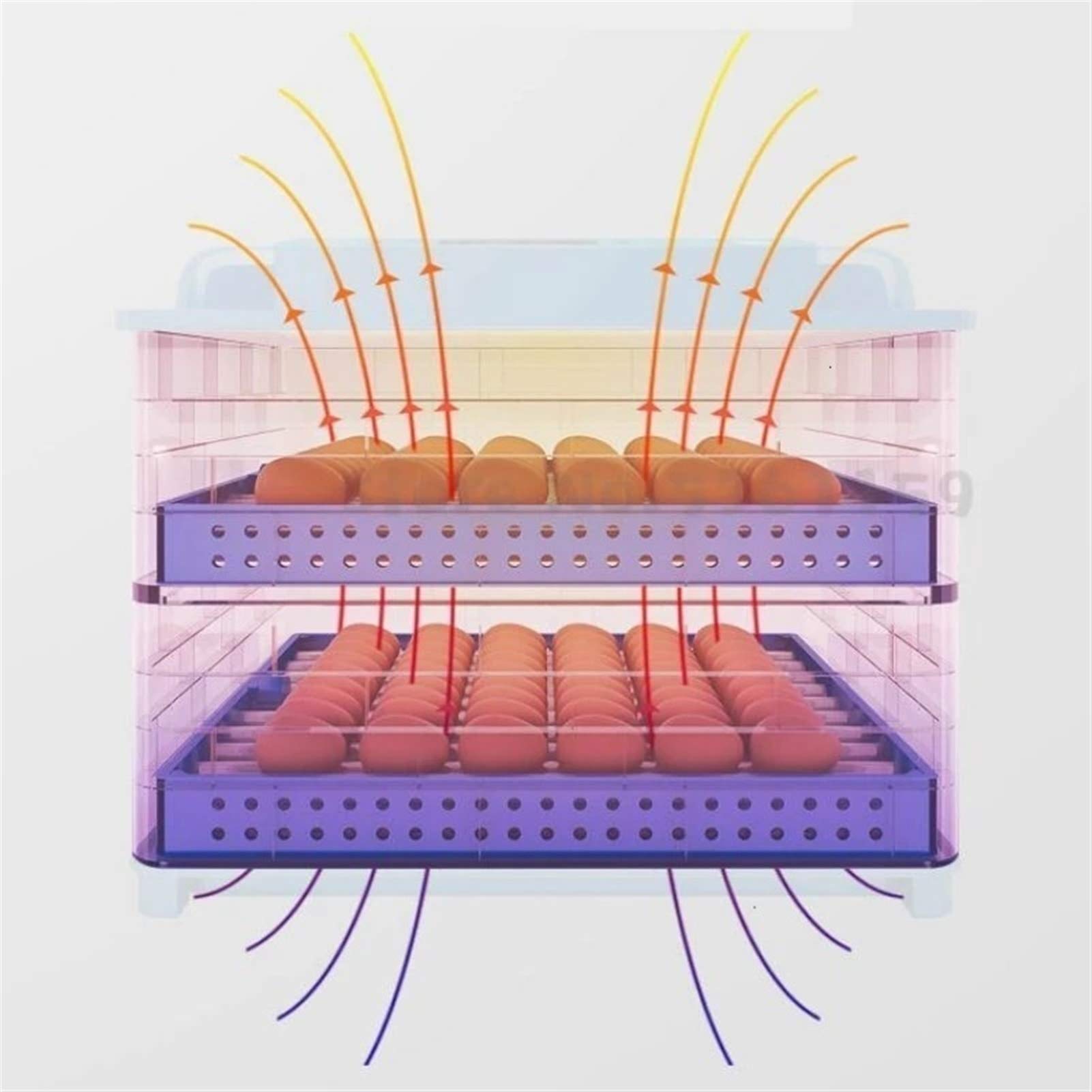 Incubatrice con girauova Automatico Controllo della Temperatura e dell'umidità della schiusa di Pollo Digitale con Display per Piccione D'Oca D'Anatra (Dimensioni : 9egg)