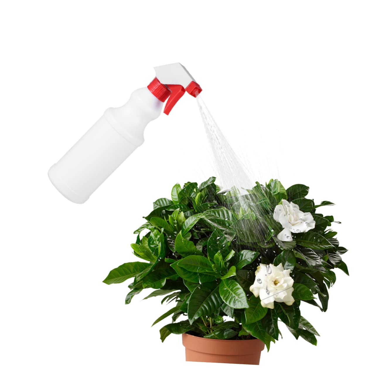 Baluue 12 Stück 500ml Kunststoff Sprühflaschen mit Sprühpumpe