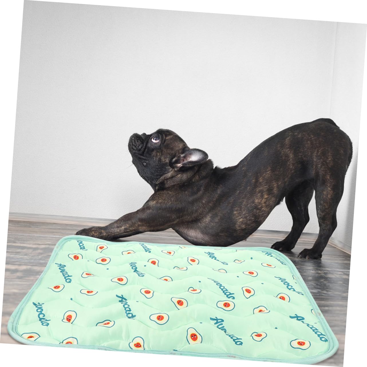 POPETPOP 6piezas Alfombrilla Higiénica para Perros Reutilizable y Lavable Empapador Absorbente para Cachorros Aguacate para Entrenamiento y Uso Interiores