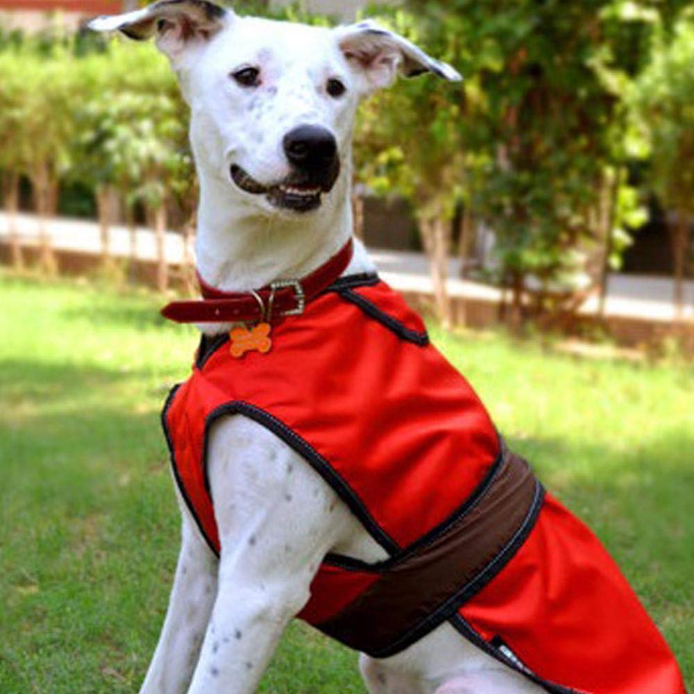 Heads Up For Tails Gladiator 2-in-1 Dog Jacket - M (B08P1G5MF9) Amazon Price History, Amazon Price Tracker