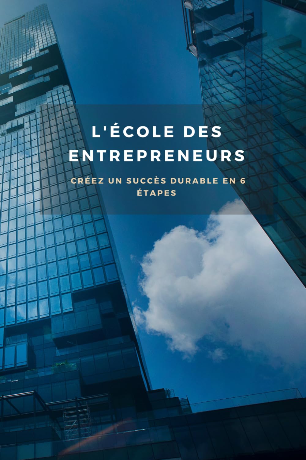 L'École des Entrepreneurs : Créez un Succès Durable en 6 étapes: La Formule Secrète des Entrepreneurs Triomphateurs