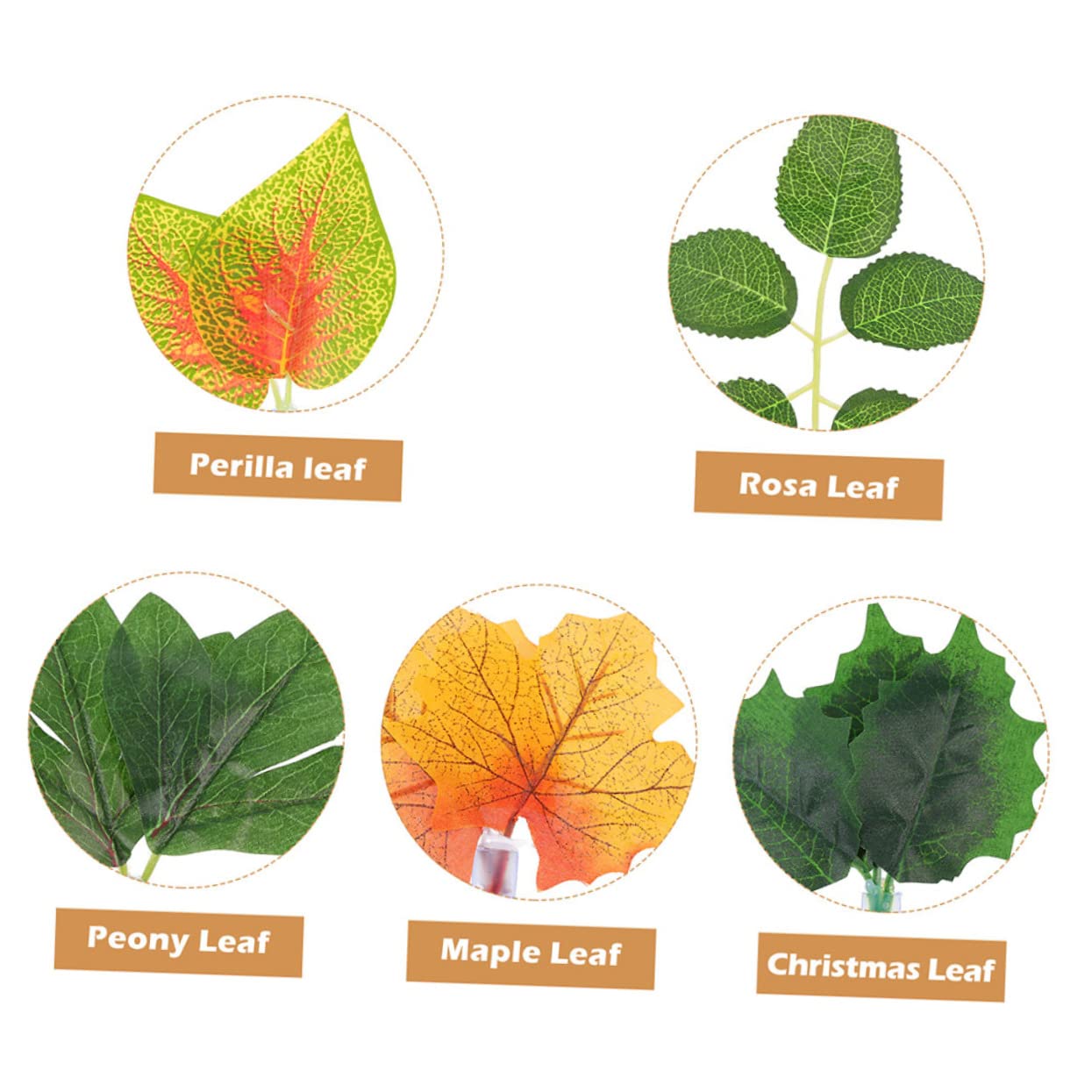 Happyyami 5 Juegos Plantas Artificiales para Reptiles Plantas para Acuarios Camaleones Terrarios Plantas para Peceras Plantas Artificiales Adornos De 10 Uds * 5