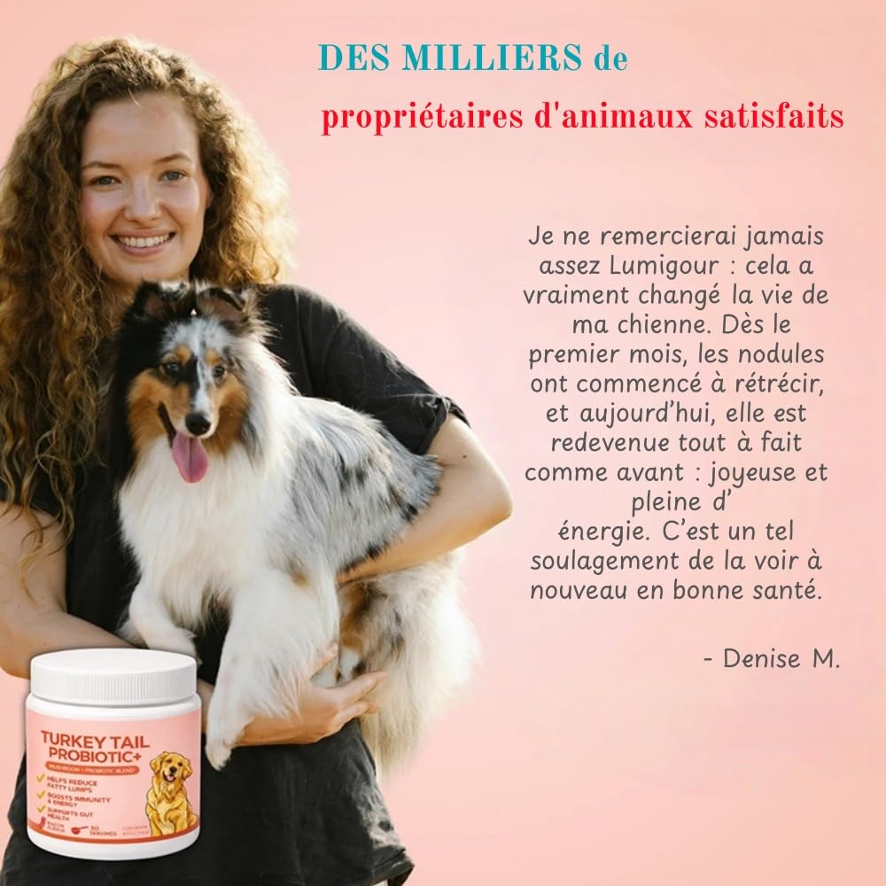 Orealift Complément Alimentaire pour Chiens Turkey Tail avec probiotiques, Soutien digestif et immunitaire, Formule élaborée par vétérinaires