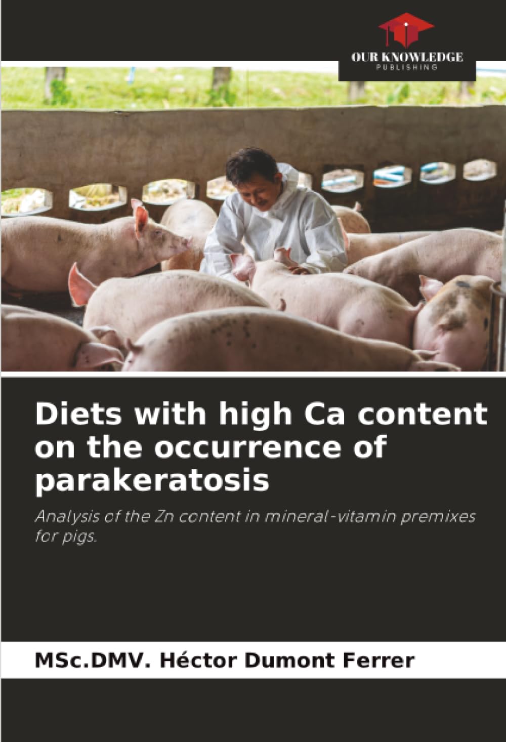 Diets with high Ca content on the occurrence of parakeratosis: Analysis of the Zn content in mineral-vitamin premixes for pigs.