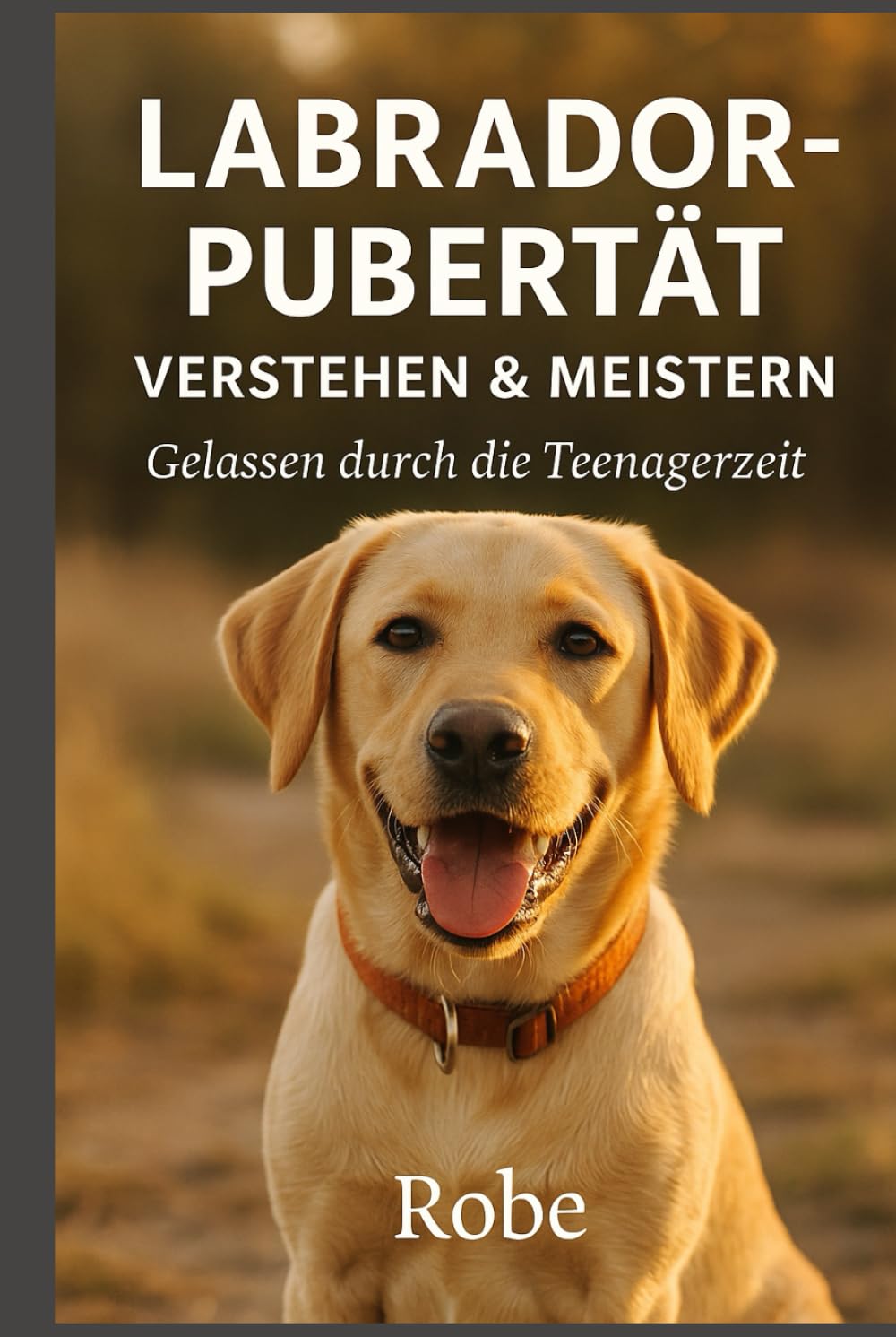 Labrador in der Pubertät sicher führen: Ruhiges Junghundetraining gegen Leinenziehen, Aufdrehen und Frust, mit klarer Struktur für Rückruf, Begegnungen und Familienalltag