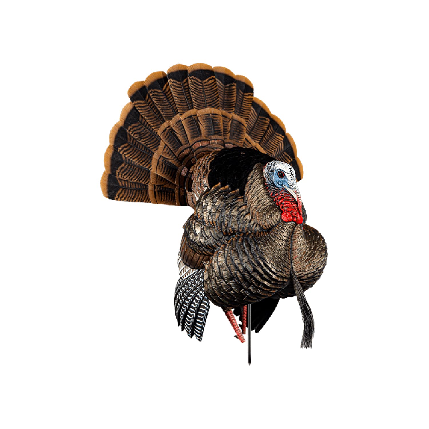 Avian-X HDR Strutter Hindi Maketi, Sağlam, Dayanıklı, Gerçekçi ve Canlı gibi Baskın Vücutlu Ayakta Av Maketi; 2 Çıkarılabilir Baş ve Kanat, Sakal, Ayarlı Kuyruk Tüyü, Montaj Kazığı ve Taşıma Çantası