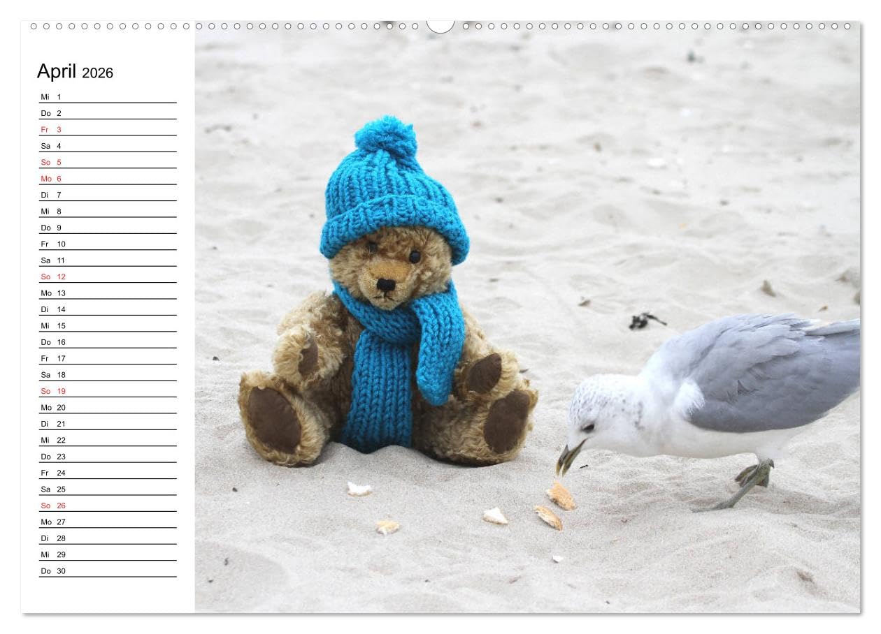 Teddy unterwegs (hochwertiger Premium Wandkalender 2026 DIN A2 quer), Kunstdruck in Hochglanz: Ein Teddykalender für die ganze Familie (CALVENDO Spass)
