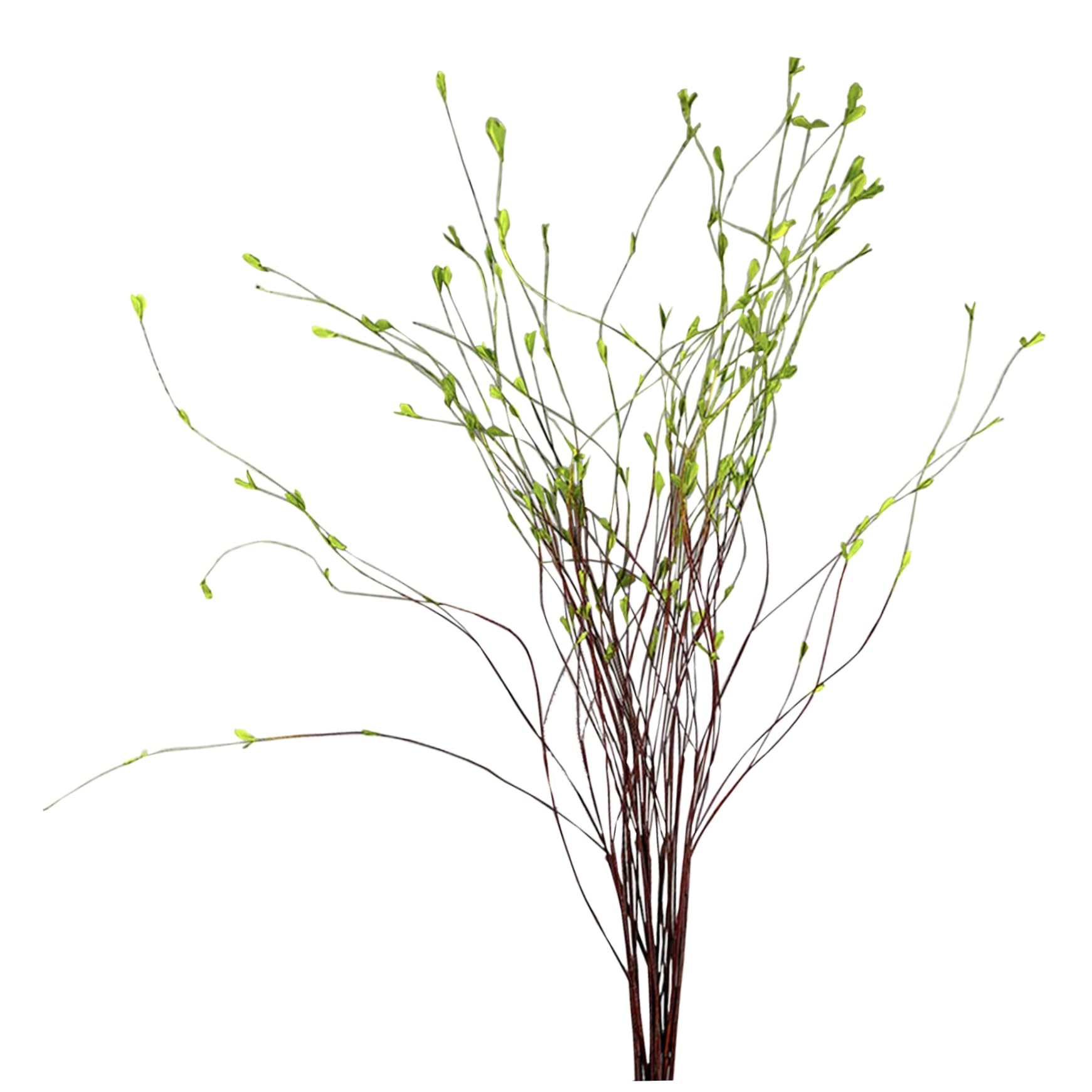 BEAHING 5PCS 51.2 Inch Artificial Pussy Willow Branches - Tall Twisted Twigs for Vase Centerpiece Decor