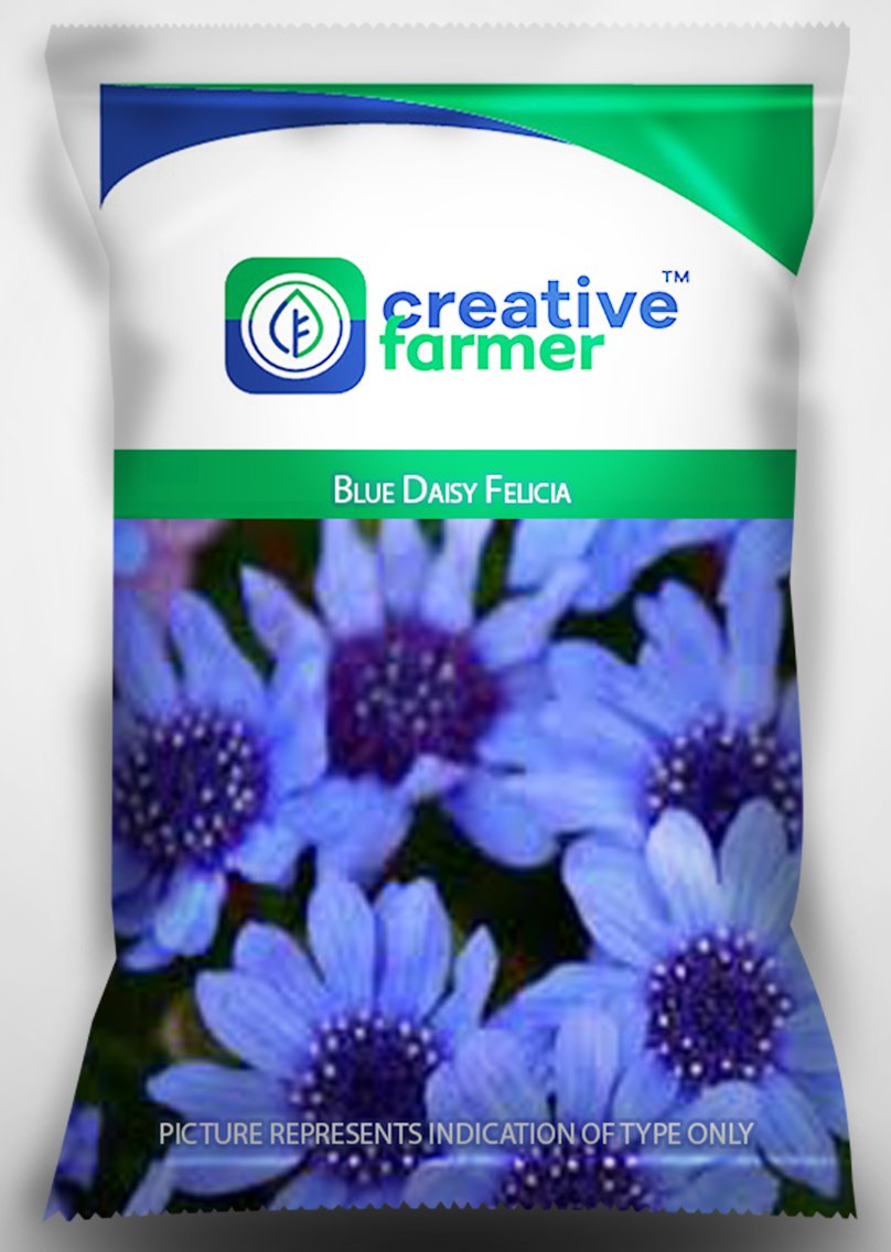 Creative Farmer Blue Daisy Felicia Seeds For Home Garden-50 Seeds (B01LXCVYER) Amazon Price History, Amazon Price Tracker
