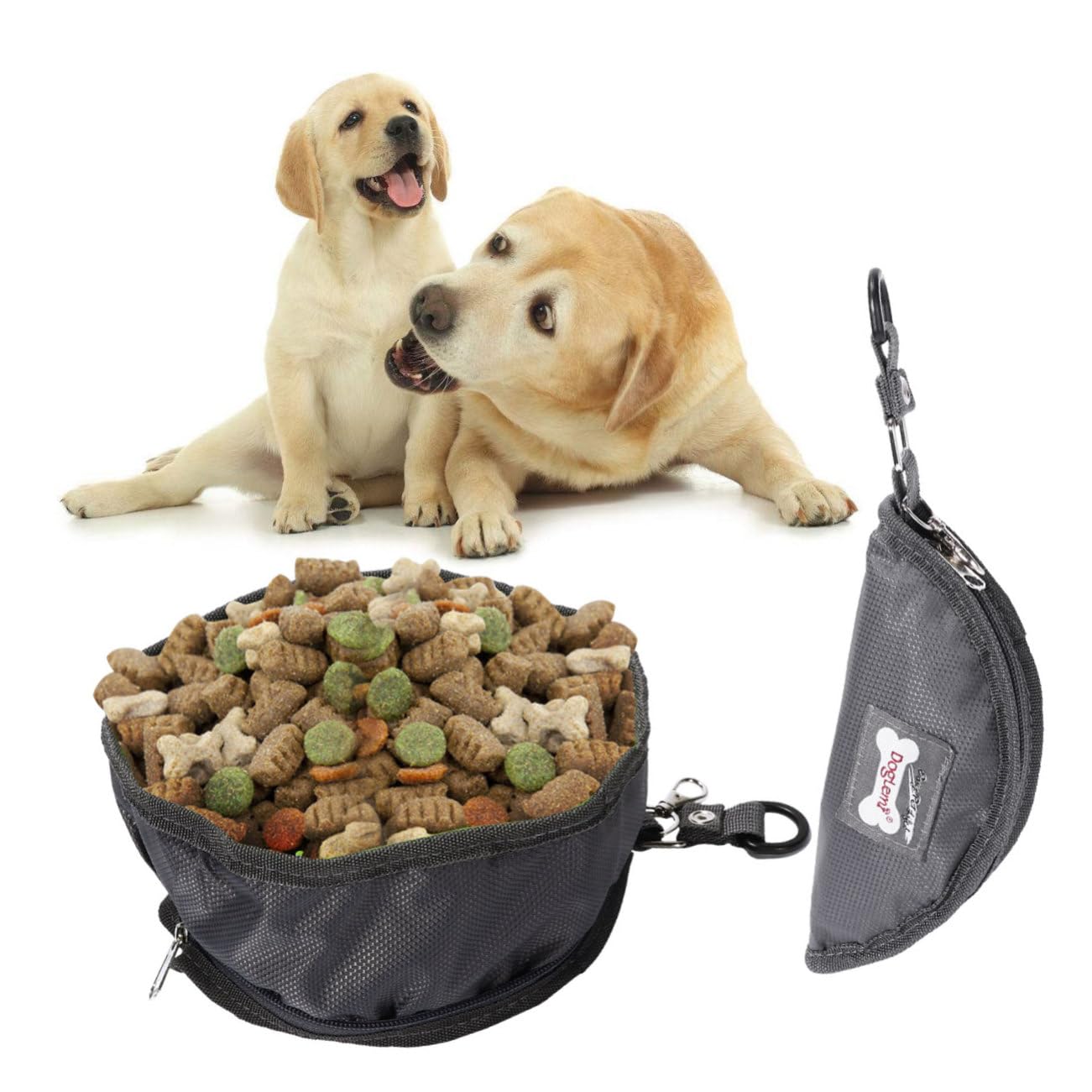 Housoutil 2 Set Di Ciotole Per Cibo Per Cani Ciotole Da Viaggio Per Animali Domestici Pieghevoli Compatte Facili Da Trasportare Per Attività Allaperto 2 Pezzi*2