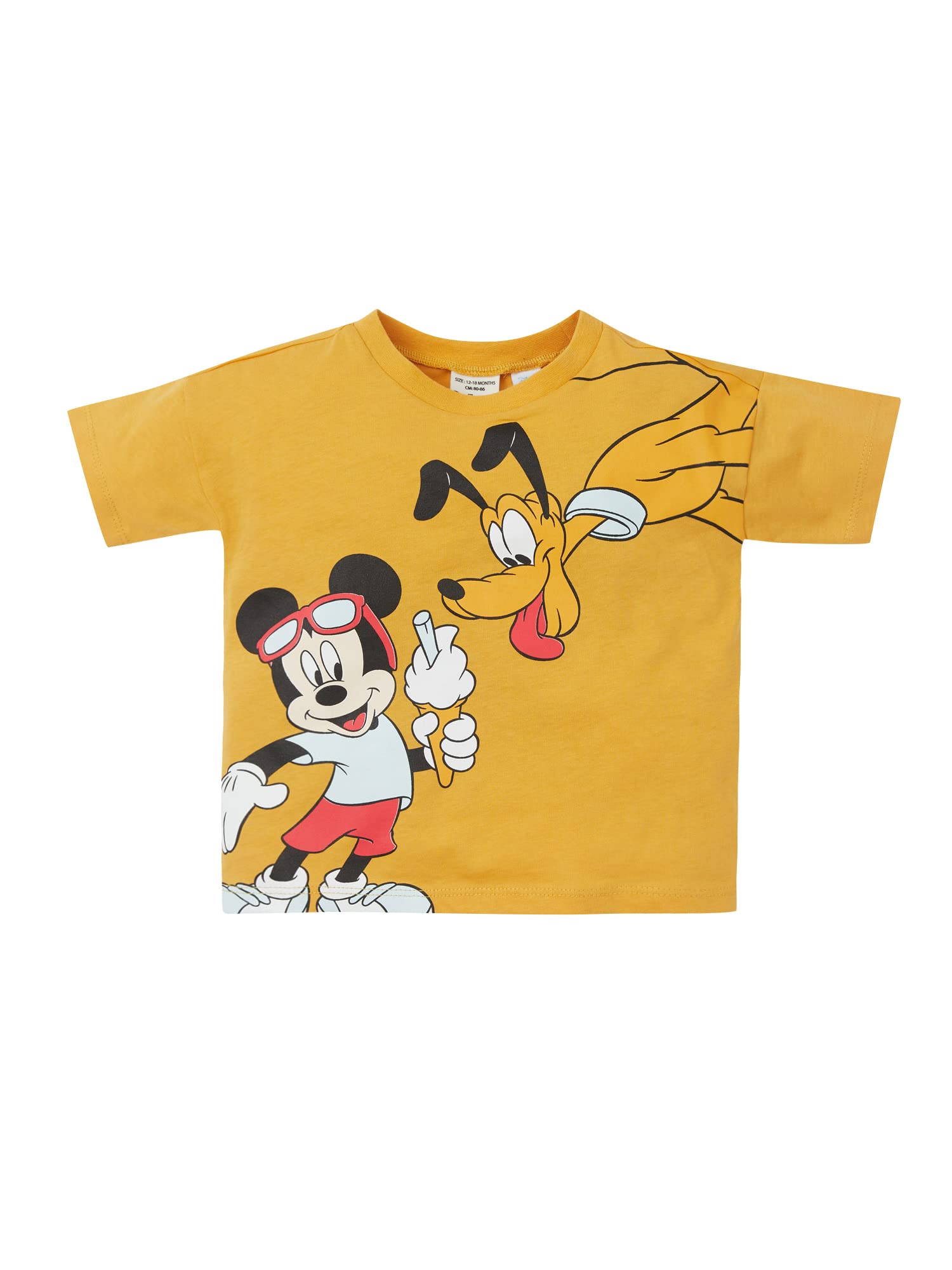 Erkek Bebek Erkek Bebek Disney Mickey & Minnie Bisiklet Yaka Penye Kısa Kollu Tişört