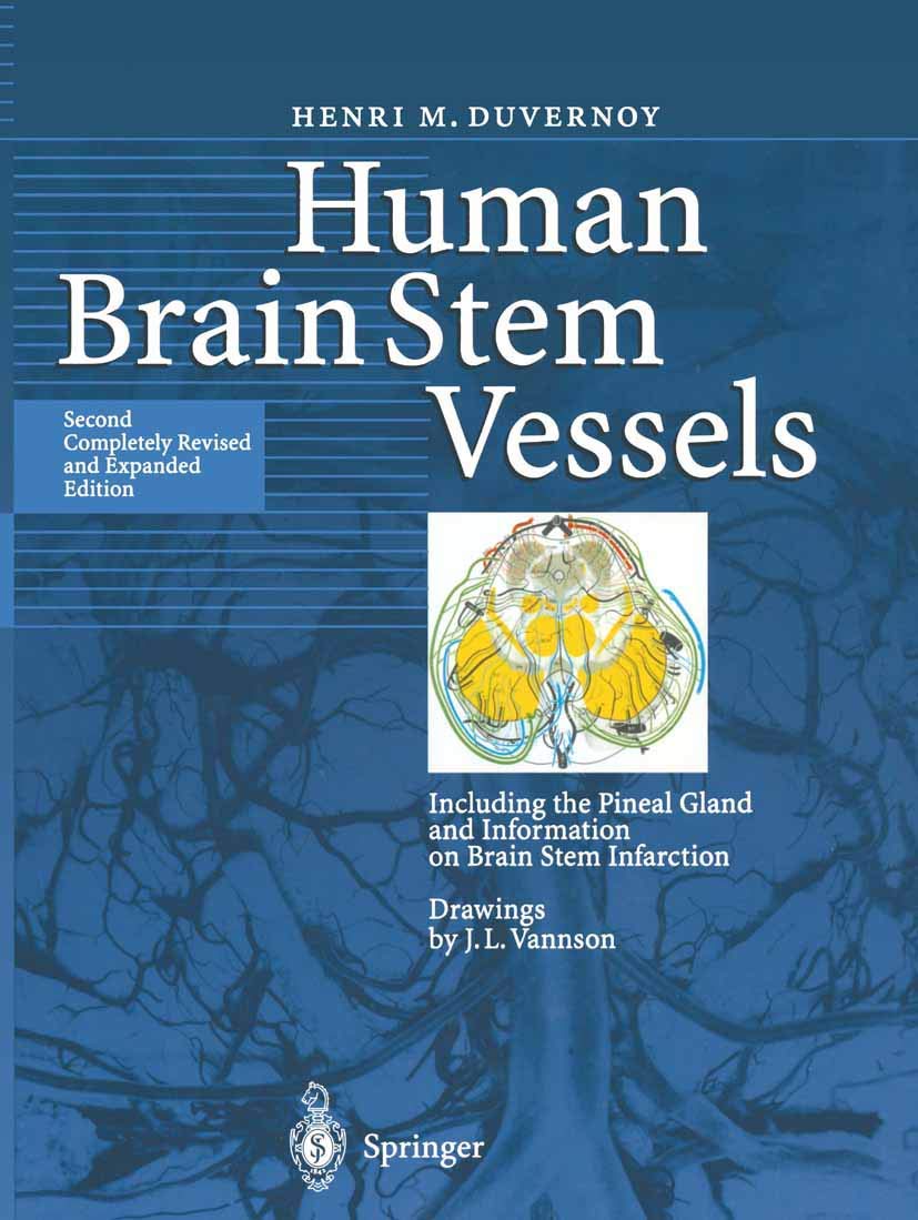 Human Brain Stem Vessels: Including the Pineal Gland and