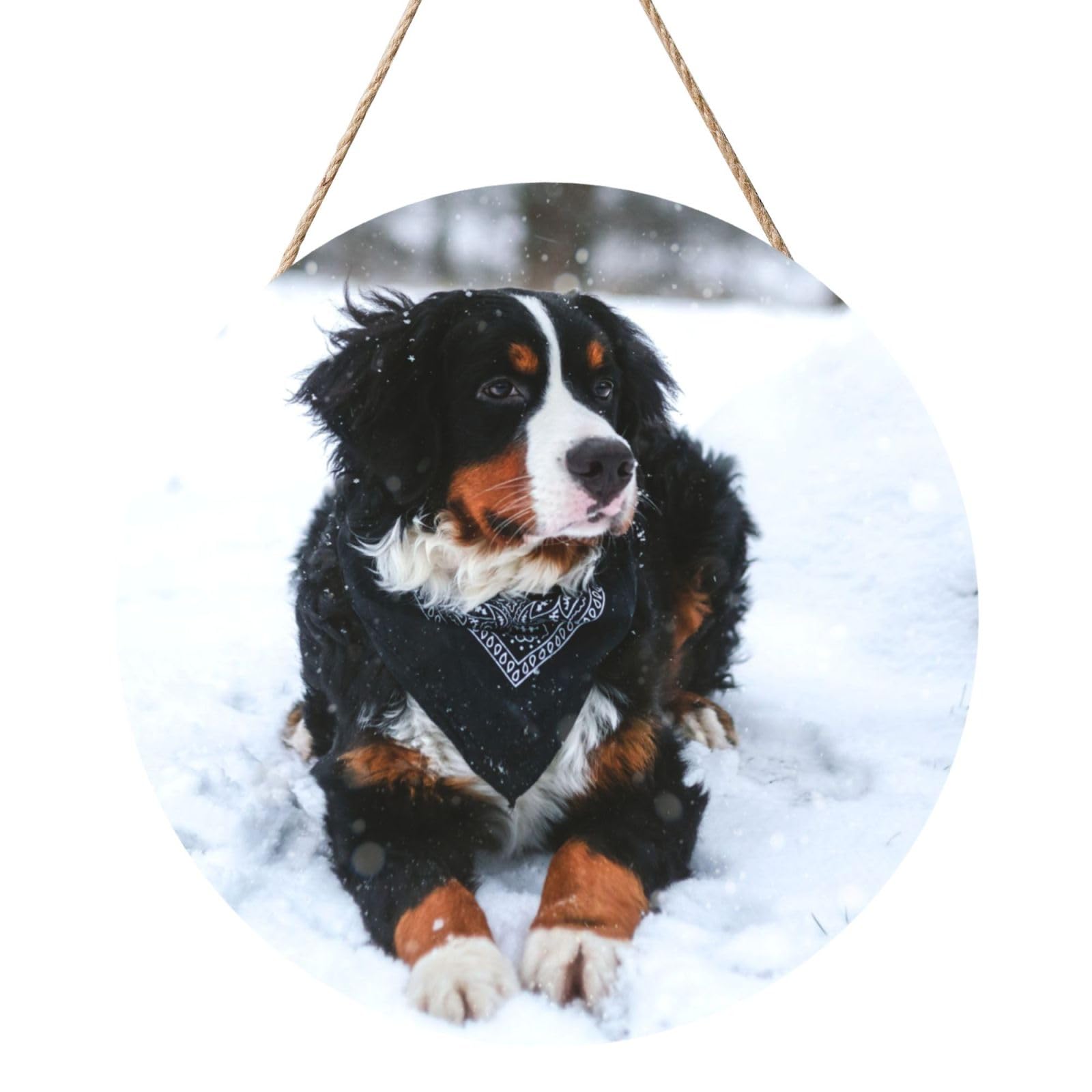 InOmak Bernese Mountain Dog Snowfall, Round Wood Panel Painting 12 in, Wall Hanging Painting For Home