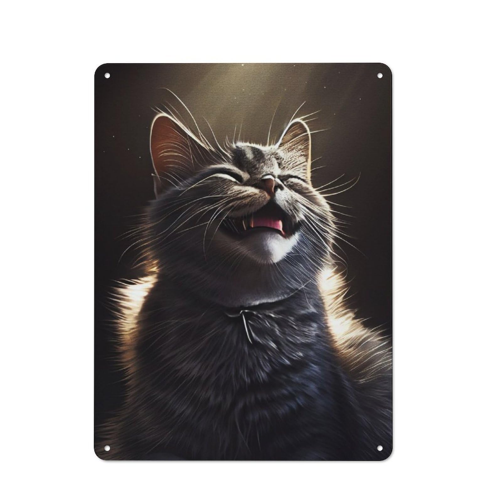 Junmoney Meme Cat Tin Wall Plaque 40X30cm With For Garage Wall, With Clear Vintage Wall Decor Character
