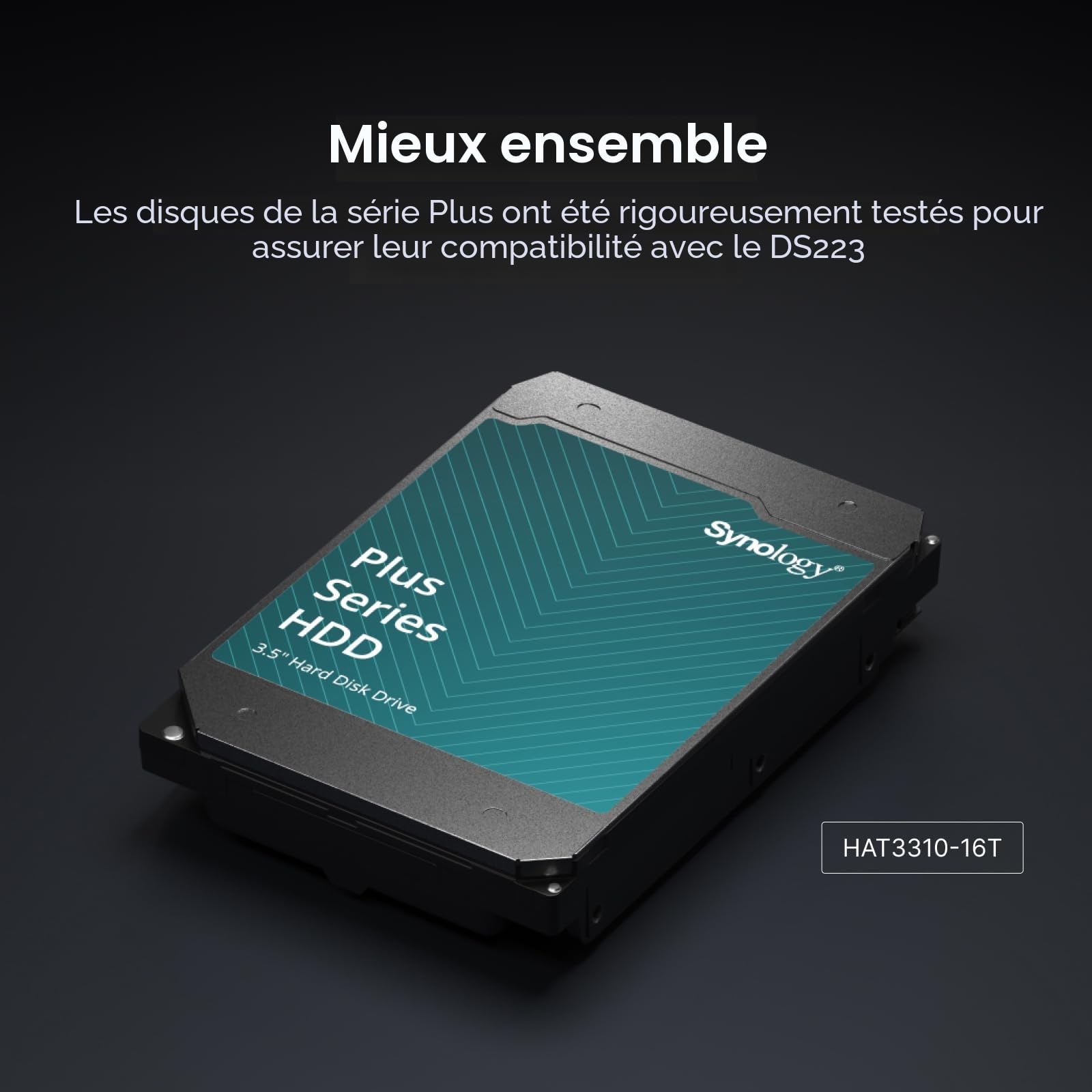 Synology NAS DS223 à 2 Baies (sans Disque) Noir