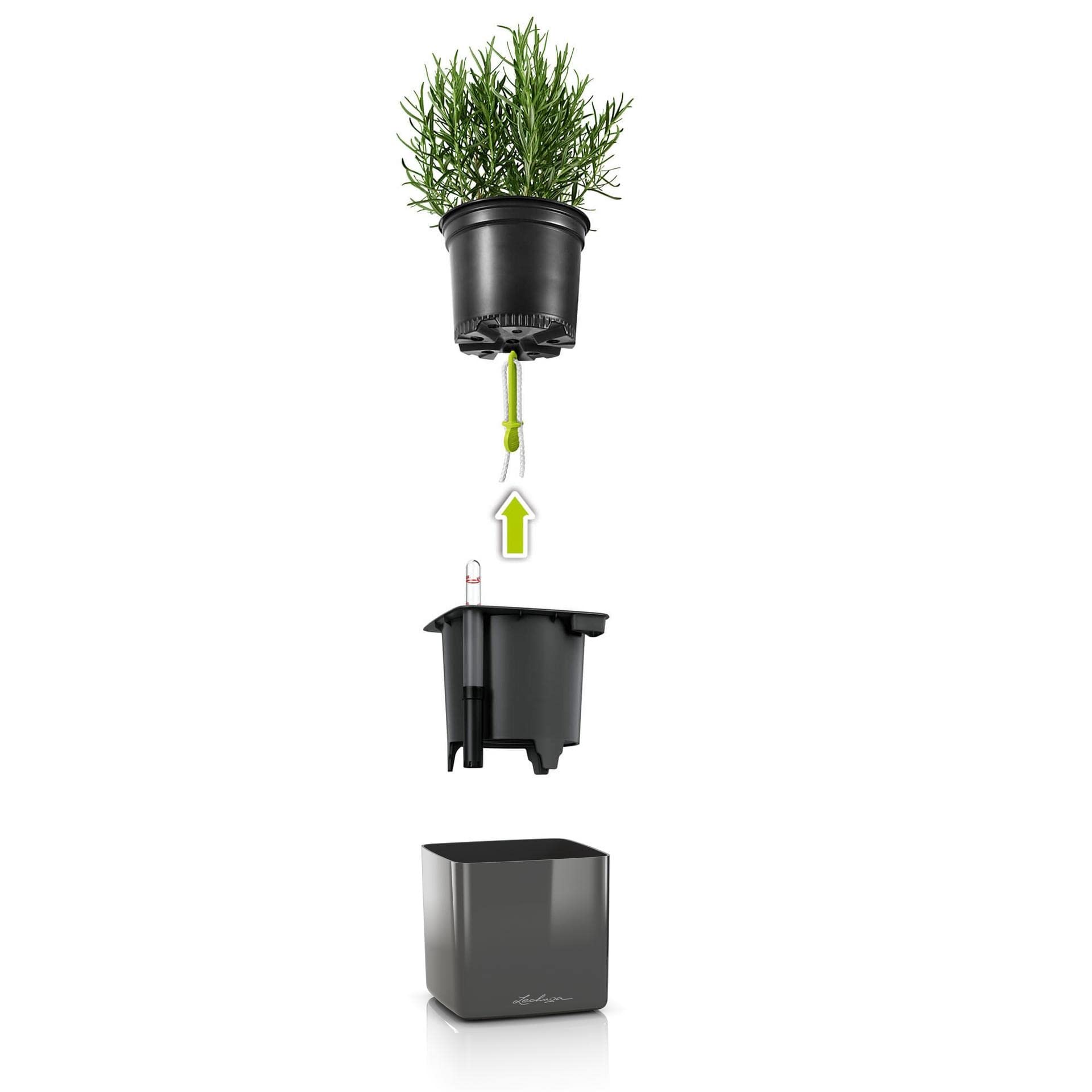 Lechuza Glossy 14 Quality Plant Cube Stick Irrigation System, Titanium dust high Gloss, Titanium Dust Highgloss, H14 L14 W14 cm - Image 3
