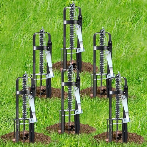 Qualirey Mole Trap for Lawns, Spear Style Mole Killer for Garden Yard Outdoor, Alloy Steel Mechanical Gopher Vole Traps, Quick and Clean(6 Pcs)