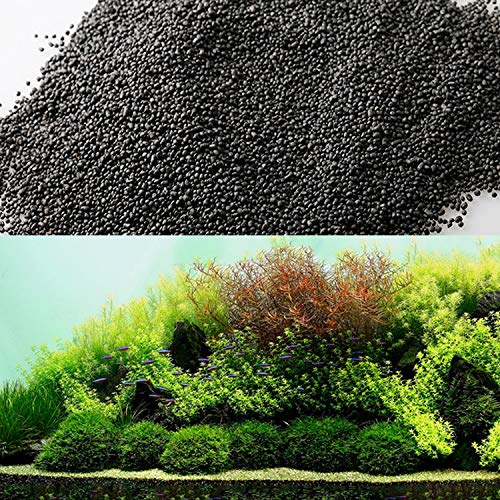 Srushti Traders Freshwater Living Aquarium Plant Seeds (B095X6T4Q2) Amazon Price History, Amazon Price Tracker