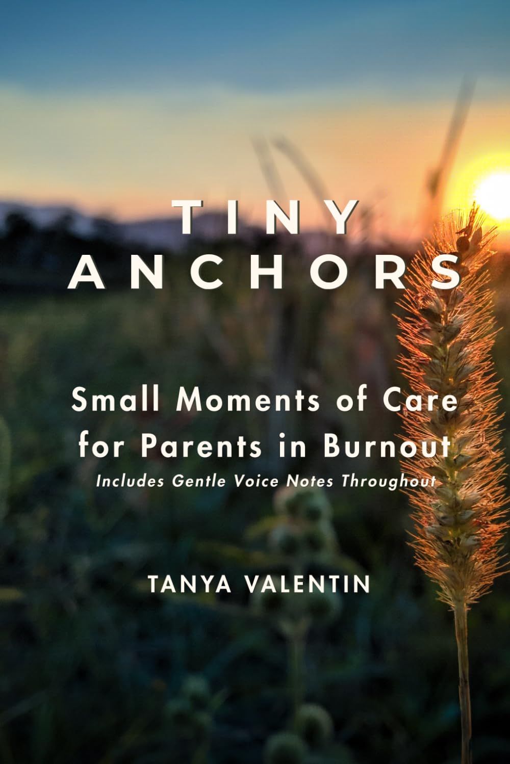 Tiny Anchors: Small Moments of Care for Parents in Burnout