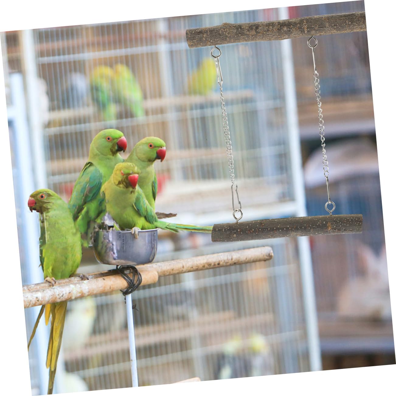 Hohopeti 5sätze Vogel Schaukel Spielzeug Für Papageien Natürlicher Kletterplatz Und Swing Für Wellensittiche Und Für Kleine Haustiere