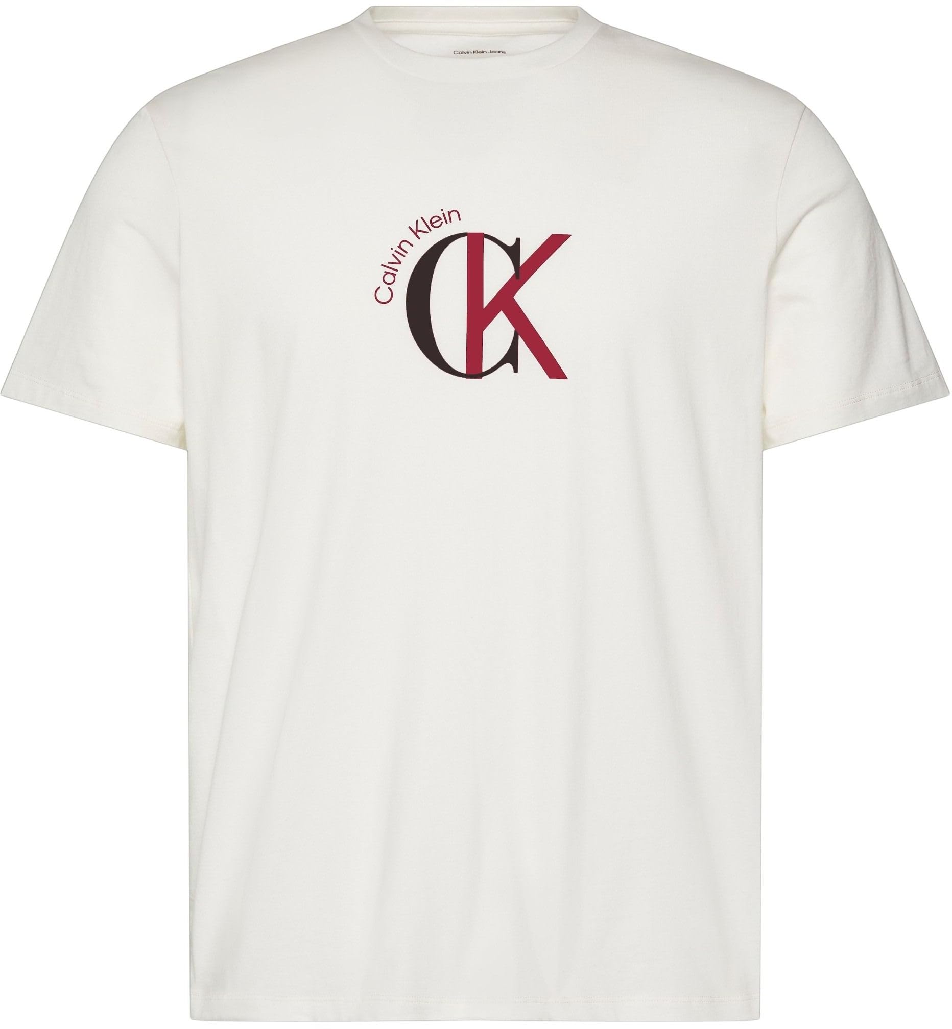 SS 30S WHSL CKJ 2TONE CK GRAPHIC T-shirt Erkek