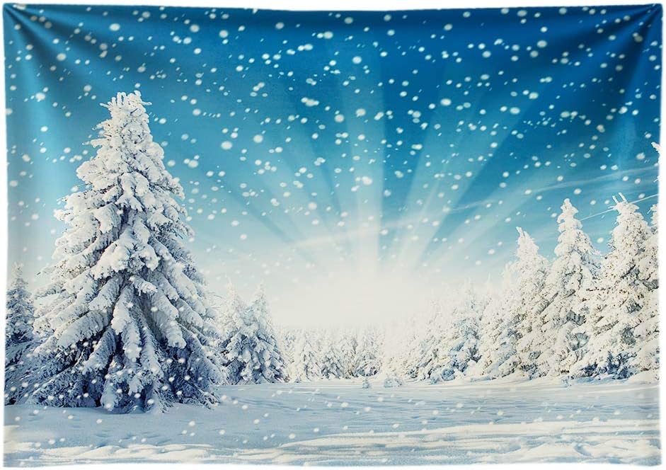 Tор Rаtеd Funnytree 8x6ft Durable Snow Wonderland Pine Tree Backdrop No Wrinkles Christmas Winter White Snowflake Forest Photography Background Bokeh Glitter Portrait Party Decor Photo Booth Studio Props