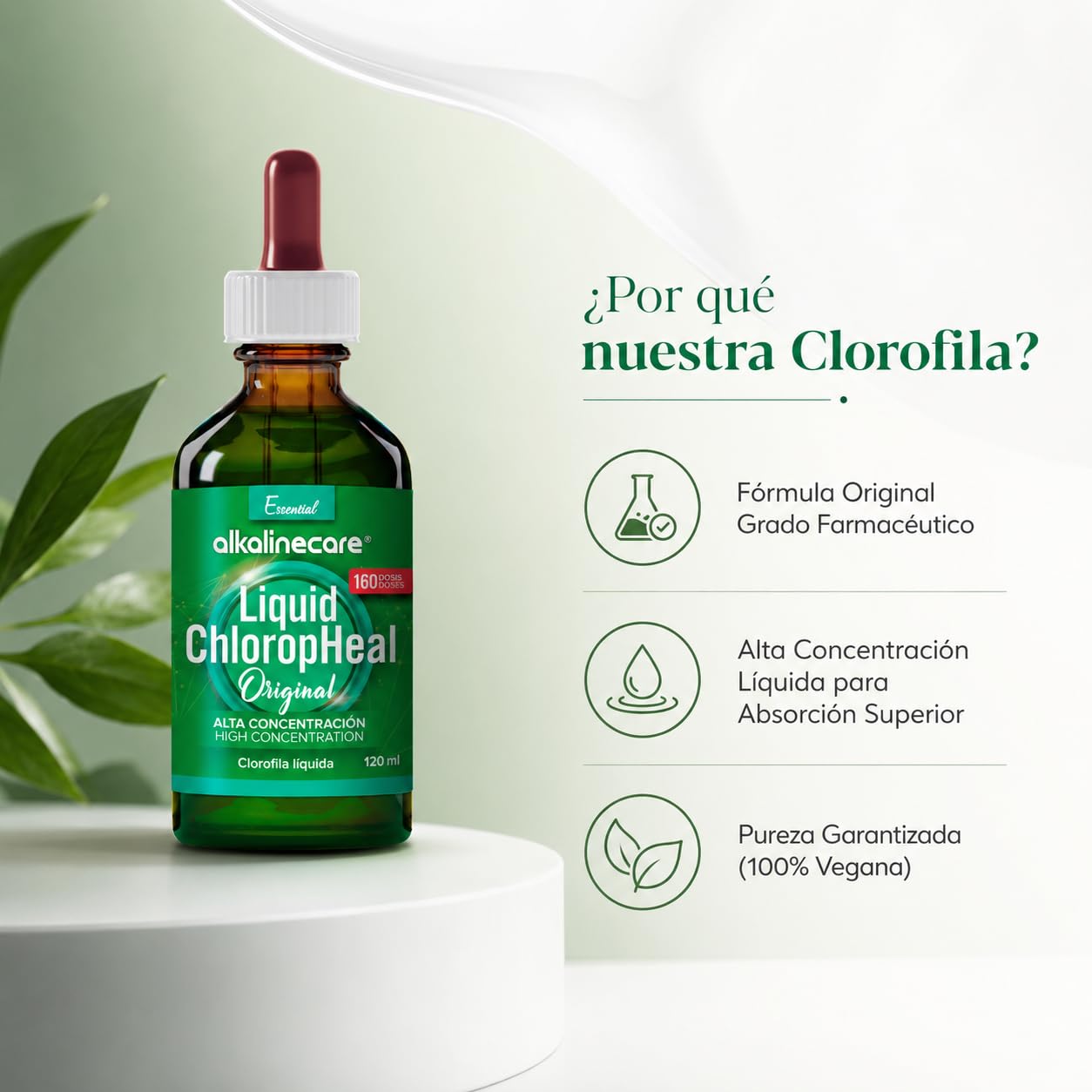 Chlorofila liquida di foglia di morera naturale al 100% - Alkaline Care