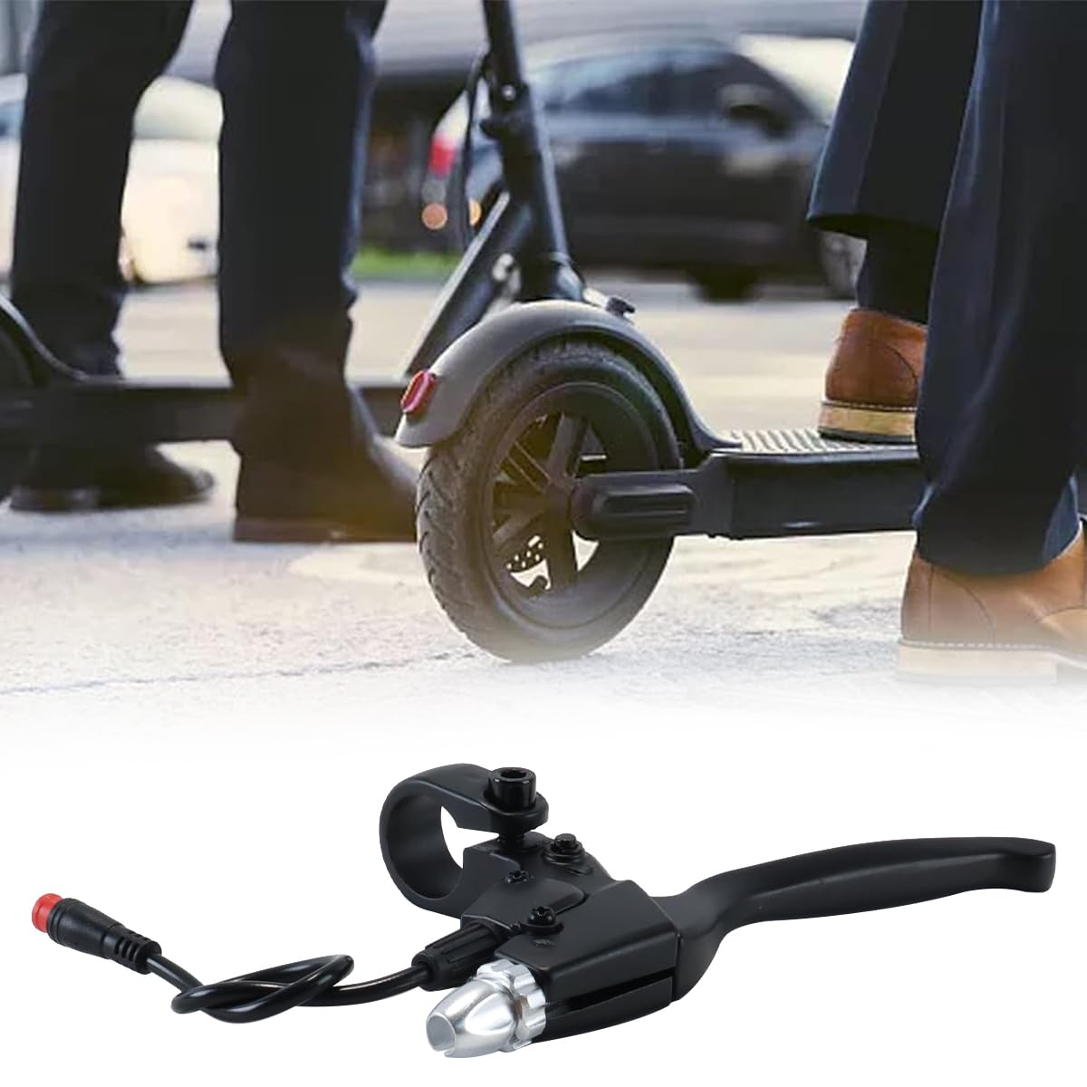 View 5