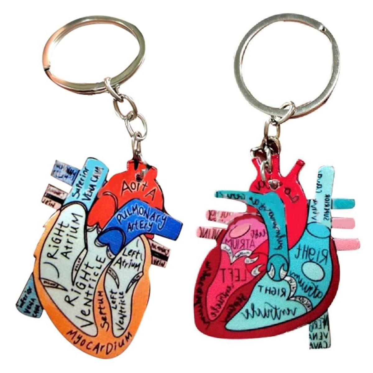 Amazon | キーホルダー 心臓 解剖学 2個 おしゃれ ナーステーマ
