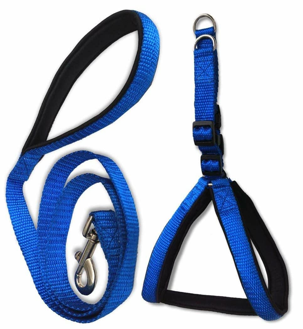YOUNIQUE MERCHANDISE Soft Padded Body Set-Leash & Adjustable Dog Harness (Extra Large, Blue-Black) (B09J2RY629) Amazon Price History, Amazon Price Tracker
