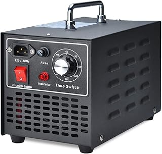 Sterilizzatore d'aria per rimozione odori generatore di ozono commerciale Songway, 10000mg/h per casa, cucina, auto, garage, autobus, barca, ristorante, negozio, purificatore d'aria