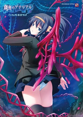 Soukoku no Arterial (Arterial of Origins) Perfect Guidebook - TECHGIAN STYLE