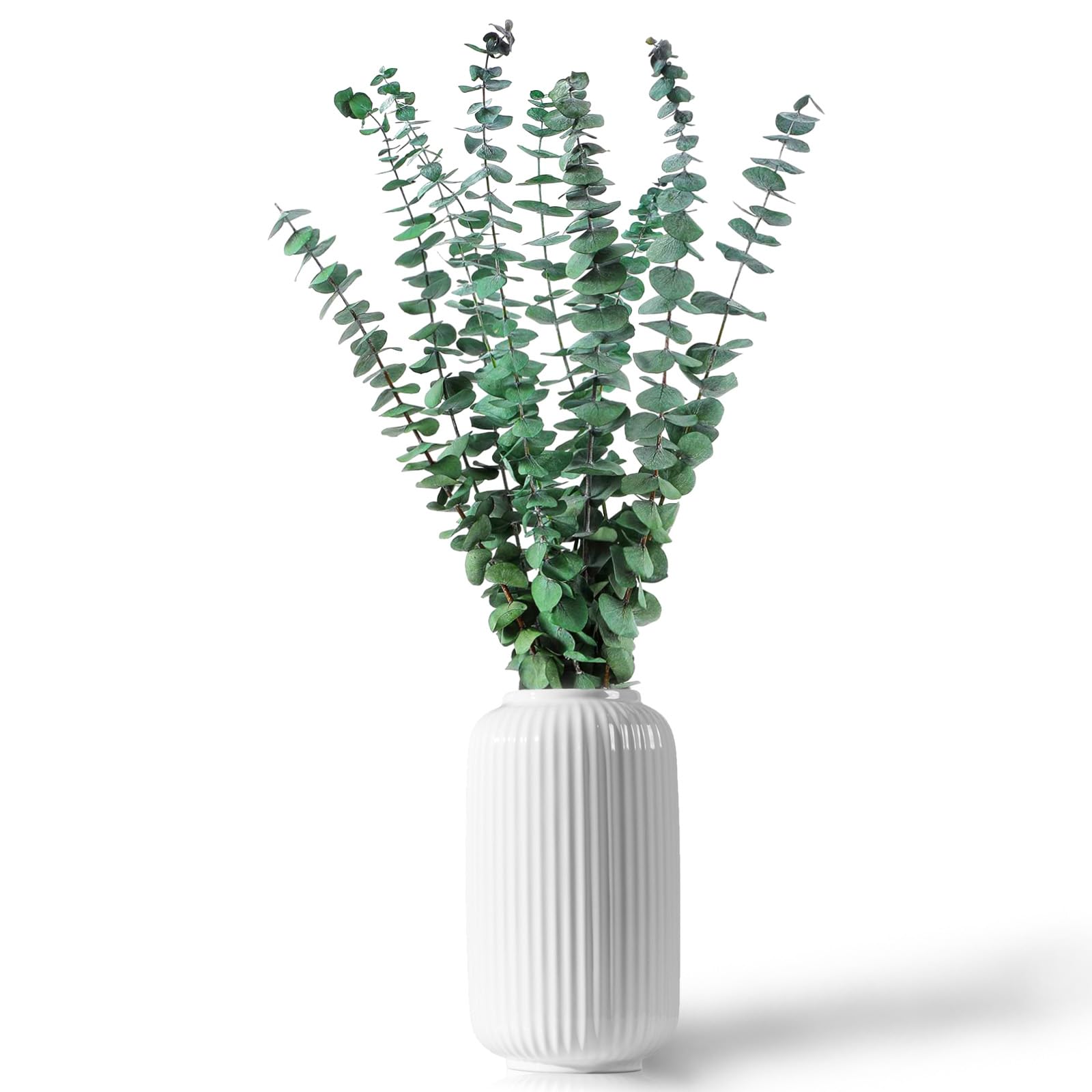 CAwished 12 Pcs Dried Preserved Green Eucalyptus Plant Stems Branches Leaves 17" for Vase Filler, Flower Arrangement, Wedding Decor, Home Décor